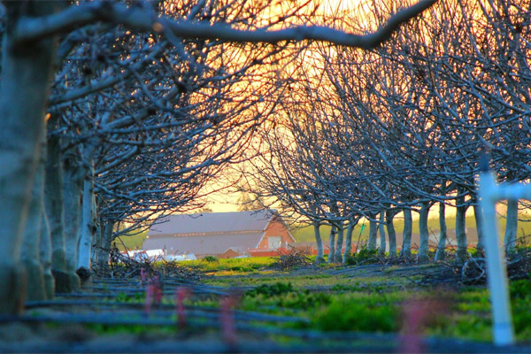 手机号码轰炸app免费