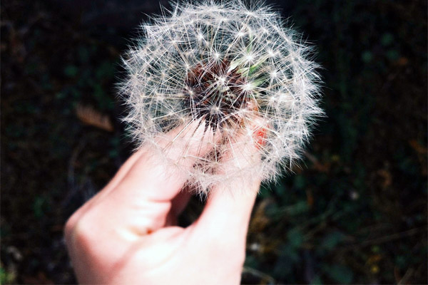 支付宝微信都收的小七电话在线网页轰炸